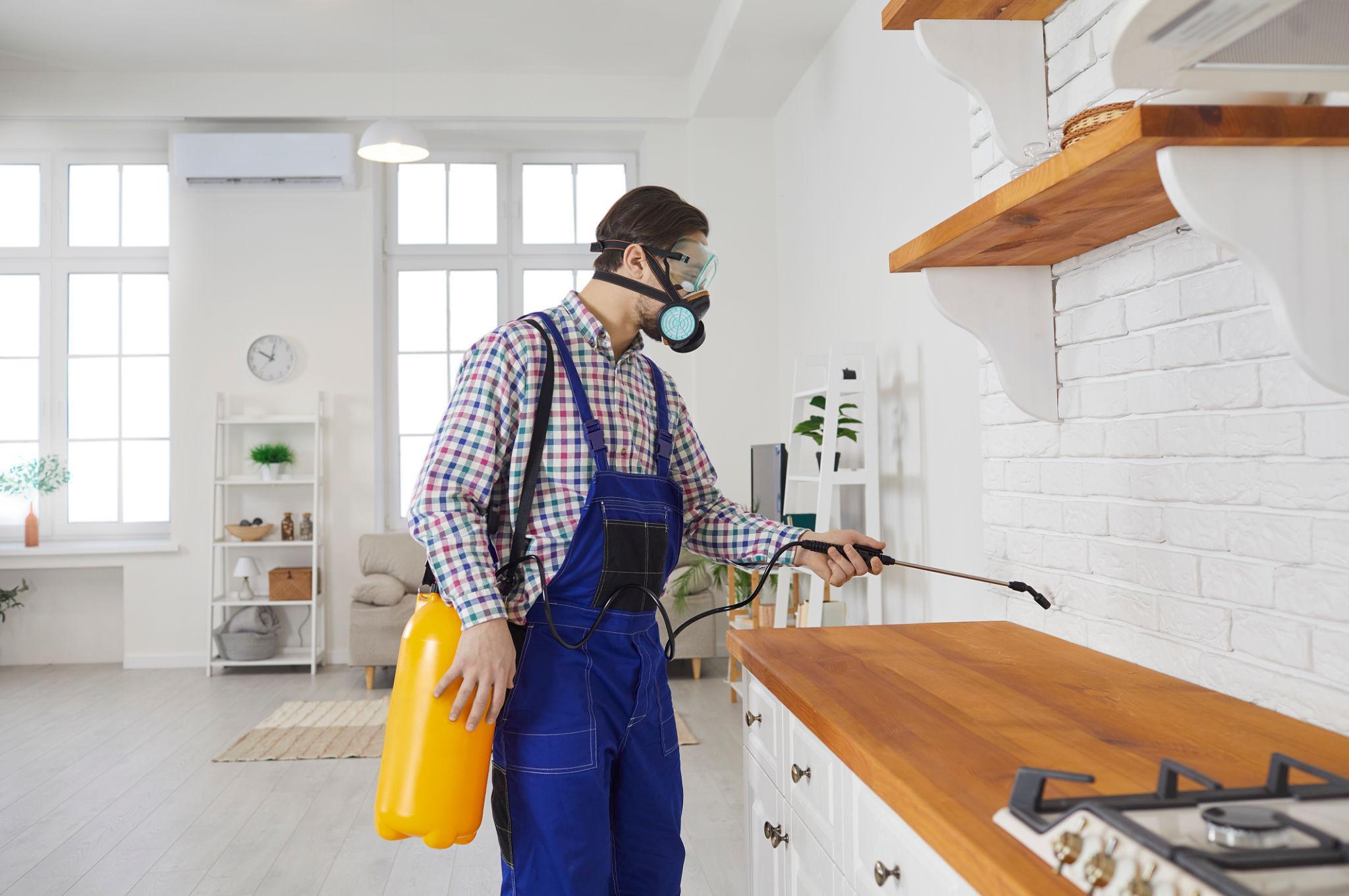 Pest control professional at work